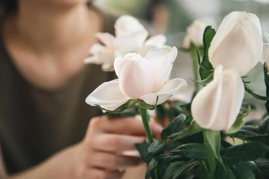 Significato dei Fiori