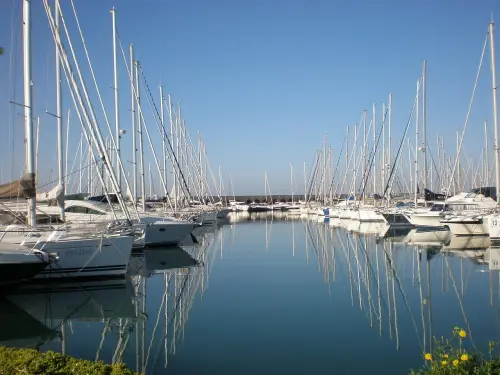 Come Raggiungere il Porto di Civitavecchia da Roma: Guida Pratica per Viaggiatori